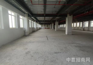 九亭1500平廠房出租 九亭廠房倉庫出租 租金1元 原房東物業 無物業費