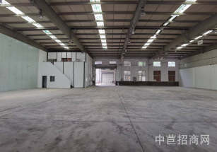 徐涇單層廠房出租
