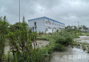奉賢莊行25畝獨院奉賢莊行25畝獨門獨院廠房出售，空地面積大