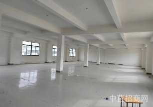 閔行七寶2000平廠房出租中春路顧戴路多層廠房出租 價格低 園區形象好 可分割出租