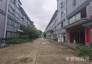 閔行食品園區獨院出租莘莊工業區獨院廠房出租 2800平廠房出租