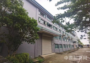 閔行食品園區獨院出租獨門獨院雙層廠房出租 層高6米 適合各類無污染行業