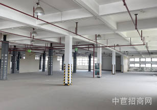 西虹橋徐涇中國夢谷青浦徐涇800㎡廠房出租，租金超低，無中介費