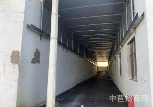 老閔行獨院單層倉庫出租閔行單層廠房出租 面積可分 適合倉儲小加工 無污染行業