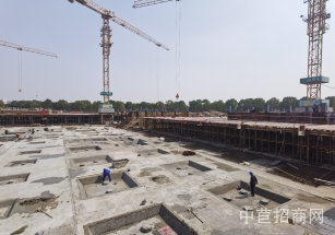 松江新橋清控人居產(chǎn)業(yè)園松江花園式獨棟 1300平  辦公總部出售送露臺