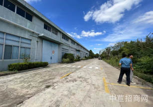 奉城11.2畝獨門獨院奉賢廠房出售，奉城占地12畝獨院廠房出售