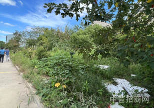 奉城11.2畝獨門獨院奉賢5500平廠房出售，總價4000萬，獨門獨院