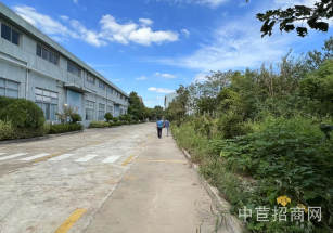 奉城11.2畝獨門獨院奉賢小業主廠房出售，5500平奉賢二手廠房出售