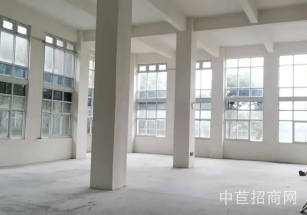 閔行優質獨棟寫字樓出租閔行獨棟廠房出租 可做寫字樓 可辦公研發倉儲