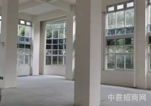 閔行優(yōu)質(zhì)獨棟寫字樓出租