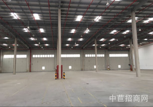 松江單層廠房單價8800的單層廠房，新建104地塊，獨立小產證無稅收要求