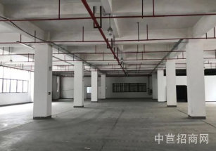 上海新業鴻科創中心九亭生產研發廠房出租，小業主廠房出租，配套宿舍食堂