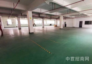 上海新業鴻科創中心九亭全新廠房出租，原房東廠房出租，價格含稅