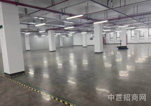 匯濱產(chǎn)業(yè)園青浦工業(yè)區(qū)獨棟6100，原房東廠房轉(zhuǎn)讓出租  無公攤