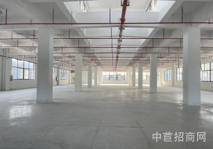 南橋維龍科創(chuàng)產(chǎn)業(yè)園奉賢南橋雙層廠房  3噸貨梯 可分小面積倉庫出租