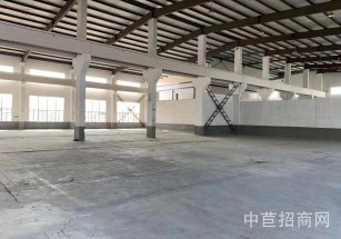 老閔行獨院廠房出租閔行單層10米廠房出租 可環評廠房出租 單層廠房出租 