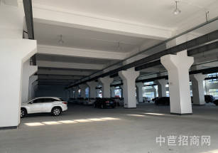 閔行顓橋獨院廠房出租顓橋獨院廠房出租 無污染行業均可 優質廠房出租