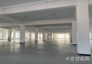 閔行顓橋獨院廠房出租顓橋可生產環評倉儲廠房出租 層高高 優質地理位置