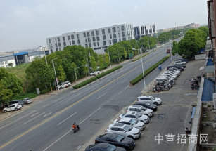 上海市松江區新橋  新廟三路 沿街店面招租