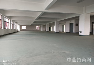 上海市松江區新橋  新廟三路 沿街店面招租