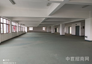 新橋  新廟三路 沿街店面招租新九商務廣場  原房東沿街旺鋪出租  無中介費