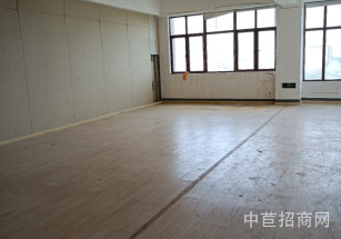 新橋  新廟三路 沿街店面招租松江新橋餐飲旺鋪，沿街一樓，可外擺，雙門頭展示面！