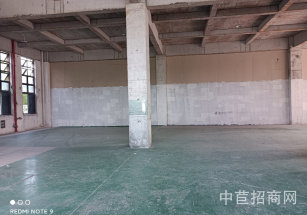 松江萬達廣場廠房出租中山街道  廠房出租倉庫1200平方！可分租！院子場地大