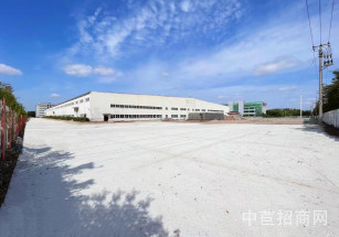 爍谷國(guó)際科研中心周浦鎮(zhèn)23530平單層廠房出租，面積大小可分割