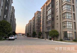 斯爾麗創意產業園西渡化妝品醫療器械廠房出租，丙類消防，可做隔層