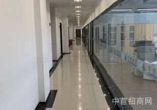 練塘獨院廠房出租練塘單層廠房出租 青浦廠房出租 獨院廠房出租 層高15米