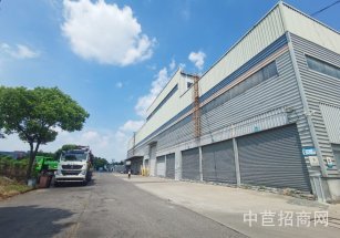 青浦40000平獨(dú)院廠房出租 全單層廠房出租 層高12米 稀缺單層廠房出租 可分租