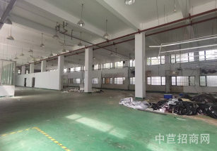 閔行獨門獨院食品廠出租