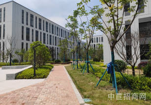 虹橋廠房出租虹橋大業主直租  全新產業園  104地塊可環評 