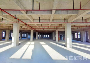 浦東張江研發廠房辦公出租張江藥谷核心區3000平可中試生產生物醫藥研發實驗室出租