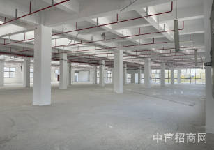 閔行廠房出租嘉閔高架銀都路出口一公里大房東3109平廠房出租合同長簽