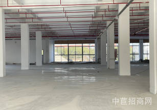 閔行廠房出租閔行廠房出租13670平可分割 適合生物醫療研發測試