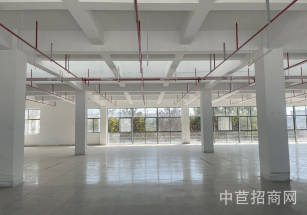 閔行廠房出租莘莊工業(yè)區(qū)生物醫(yī)藥研發(fā) 醫(yī)療器械 辦公和展廳廠房出租