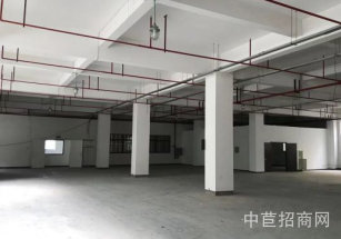 莘莊工業(yè)區(qū)獨棟研發(fā)廠房出租1莘莊工業(yè)區(qū)原房東廠房出租，可做醫(yī)藥研發(fā)，104地塊