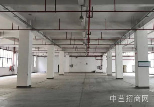 莘莊工業(yè)區(qū)獨棟研發(fā)廠房出租1閔行廠房出租，適合辦公、研發(fā)、實驗室，配套宿舍食堂