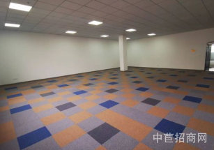 莘莊工業(yè)區(qū)獨棟研發(fā)廠房出租1莘莊工業(yè)區(qū)小面積廠房出租，151平起，可環(huán)評注冊