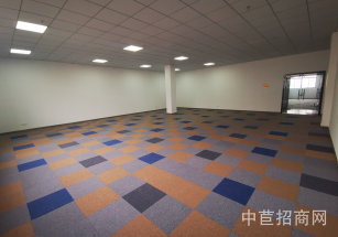 九亭新業鴻科創園北九亭樓上600平研發辦公精裝修  單價0.8  104地塊