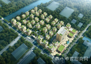 泗涇-天睿產業園