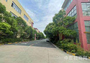 奉賢單層廠房出售奉賢小業主產權2100平單層廠房  層高10米 可貸款