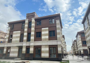 國際汽車城信息產業園出售安亭獨棟別墅，送地下室251平，園區直售無中介費