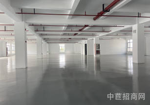 三灶展廳廠房出租出租浦東展廳廠房  臨街廠房  精裝修