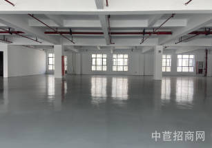 三灶展廳廠房出租原房東出租宣橋研發辦公廠房   無稅收要求