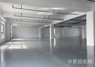 三灶展廳廠房出租原房東出租展廳辦公廠房  無公攤中介費  1300平