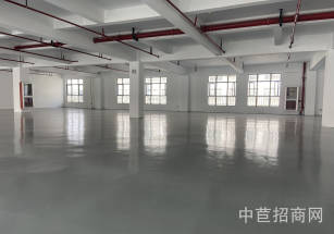 三灶展廳廠房出租浦東宣橋展廳廠房出租  原房東出租  無公攤