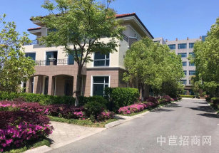 金匯-金斗產業園出租金匯小面積工業別墅  600平  全新廠房出租