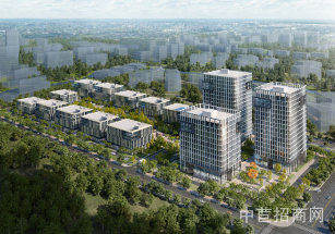 臨港松江科技綠洲二期出售九亭獨棟研發生產廠房  300平起售  開發商直售